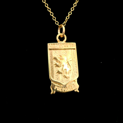 9ct yellow gold large avfc - 9ct,